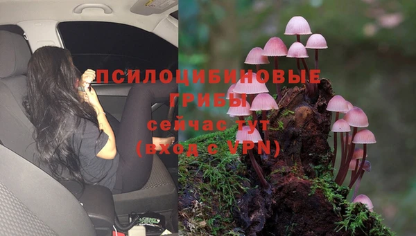 ALPHA PVP Дмитров