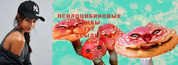 apvp Ельня
